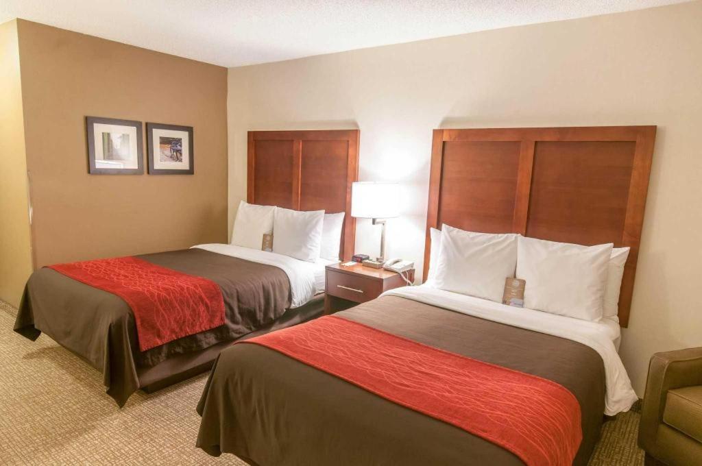 Comfort Inn Quantico Stafford Exteriér fotografie