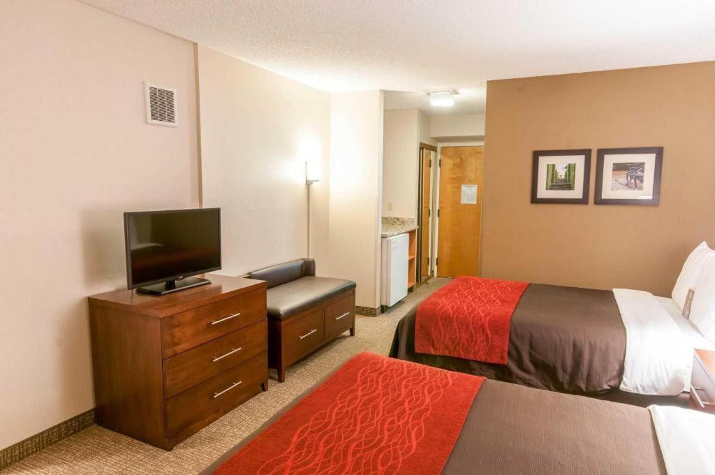 Comfort Inn Quantico Stafford Exteriér fotografie