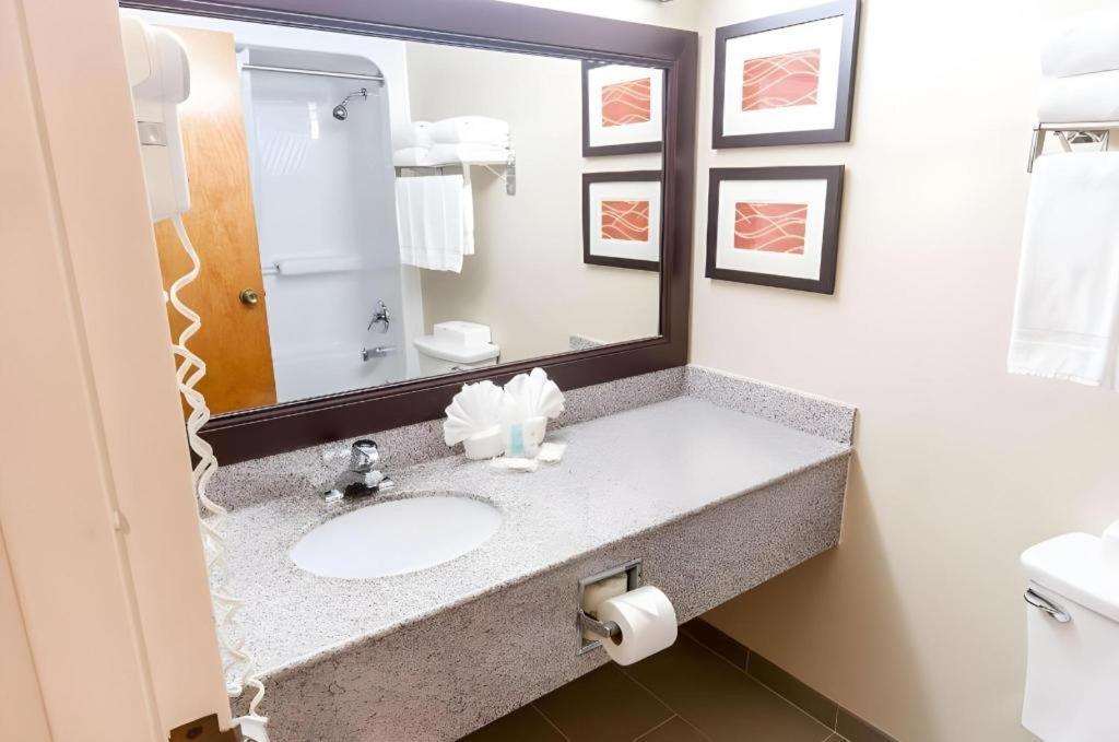 Comfort Inn Quantico Stafford Exteriér fotografie